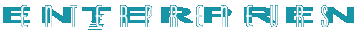 Enterpreneurs